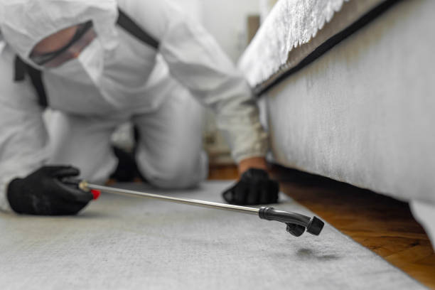 Professional Bed Bug Control technician working in Bethel, OH