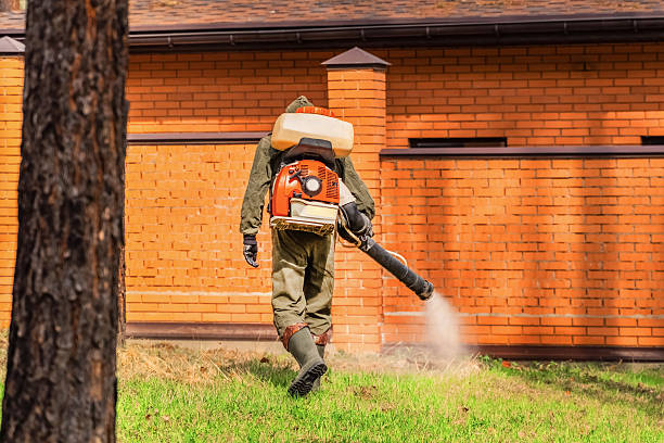 Trusted Mosquito Control service in Bethel, OH - Nex Pest Control